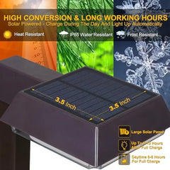 Solar Path Lights 2-in-1 Warm White & Daylight Modes 300 Lumens Outdoor Lighting High Quality Stakes Easy Installation Driveway - I NOW BUY